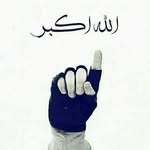 آروین سدید - @arwin_sadad - Instagram