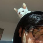 Samuel Darinel Camas Sosa - @samuelcamas - Instagram