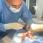 Darwin Sandoval - @darwin_vet - Instagram