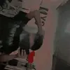 Darwin santos 🐾🦦 - @darwinalexandersantos - TikTok