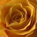 Darwin Schiller - Facebook
