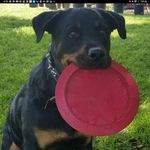 Darwin Schultz - @dschultztx71 - Instagram