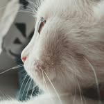 ⠀⠀⠀⠀⠀⠀⠀⠀⠀⠀Darwin • Scott - @darwinandscott - Instagram