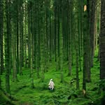 Darwin Scott - @makeincome2023 - Instagram