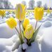 Darwin Scott - Facebook