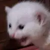 darwinscott406 - @darwinscott4065 - TikTok