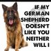 Darwin German Shepherd Community Group - Facebook