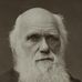 Darwin Simpson - Facebook