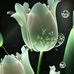 Darwin Smith - Facebook