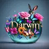 Darwin Solomon - @darwin.solomon3 - TikTok