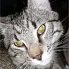 Dawn Spiker - @dawn.spiker7 - TikTok