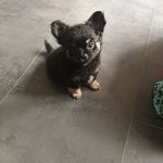 Dinky Darwin Wilson Stanley - @dinky_darwin - Instagram