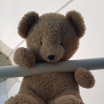 Stanley Darwin - @stanley_bear_darwin - Instagram