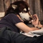 Darwin - @darwinstark01 - Instagram