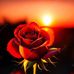 Darwin Stuart - Facebook