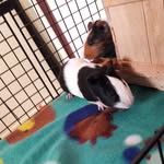 @Stuart_&_Darwin - @stuart__darwin - Instagram