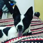 Darwin Thompson - @thompson.darwin - Instagram