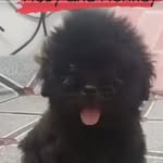 Darwin Alvaro Tobias - @tobywrytch - Instagram