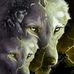 Daryl Baker - Facebook