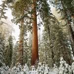 Daryl Bertsch - @daryl_benrtsch - Instagram