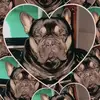 Darryl bishop - @darryl.bishop4 - TikTok