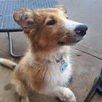 Daryl Bishop - @darlos.64 - Instagram