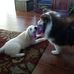 Daryl Compton - Facebook