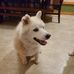 Daryl Conley - Facebook