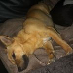Daryl Cook - @daryl.cook.376 - Instagram