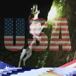 Daryl Couch - @daryl_couch - Instagram