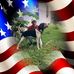 Daryl Couch - Facebook
