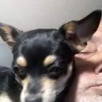 Daryl Cross - @dcross866 - Instagram