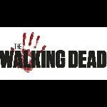 The Walking Dead - @daryl_crossbow - Instagram