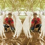 Daryl Crouche - @darylcrouche - Instagram