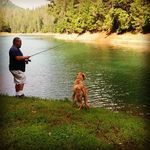 Darryl Curran - @darrylcurran1962 - Instagram