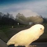 Darryl Curran - @currandarryl - Instagram