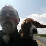 Darryl Curry - @darrylsbreedingservice - Instagram