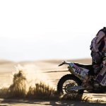 Daryl Curtis - @d_curtis1971 - Instagram