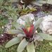Daryl Darby - Facebook