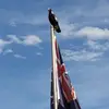 Darryl Davey - @darryl.davey - TikTok
