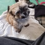 Daryl Davey - Facebook