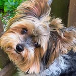 Daryl Day - @day.daryl - Instagram