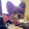 darylday708 - @darylday708 - TikTok