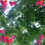 Daryl Dee - Facebook