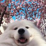 Daryl González - @mranothr - Instagram