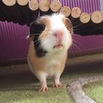 Good_Boy_Daryl - @good_boy_daryl - Instagram