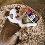 Daryl Grant - @daryl.grant.77770 - Instagram