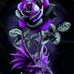 Daryl Grant - Facebook