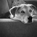 Daryl Griffith - Facebook