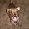 daryl&bonez - @daryl_grigsby - TikTok